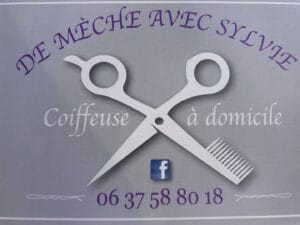 Logo De Mèche avec Sylvie